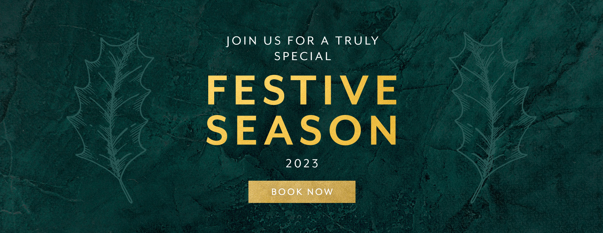 Christmas 2023 at Mountnessing