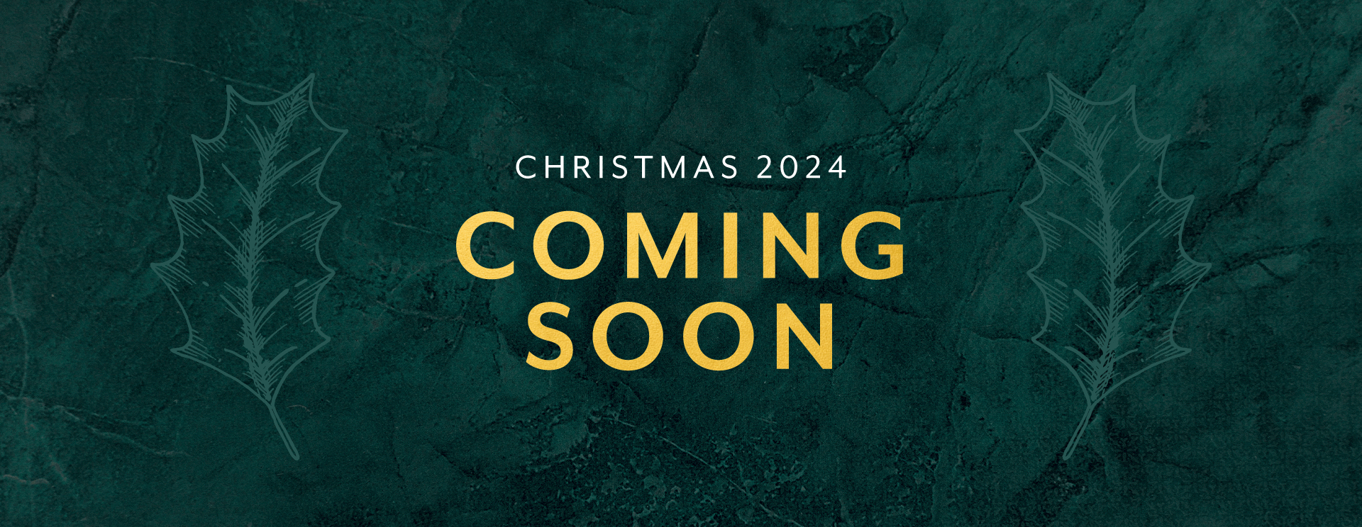 Christmas 2024 at Mountnessing